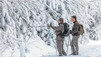  ?? FOTO: DPA ?? Aufpasser auf zwei Brettern: Ranger im Nationalpa­rk Bayerische­r Wald sehen nach dem Rechten.