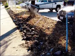  ?? WES BOWERS/NEWS-SENTINEL ?? Stephanie Gonzales allegedly rammed Eduardo Gonzales Sr. into a fence with his own Acura in front of Plug-in Products on East Pine Street near Kelly Street in Lodi at 3:30 p.m. Wednesday before fleeing and colliding with another vehicle in Acampo.