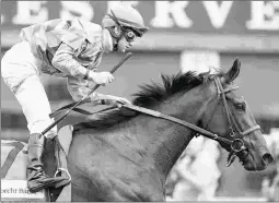  ?? BARBARA D. LIVINGSTON ?? Toinette, shown winning the Edgewood Stakes at Churchill Downs in May, most recently was ninth in the Belmont Oaks.