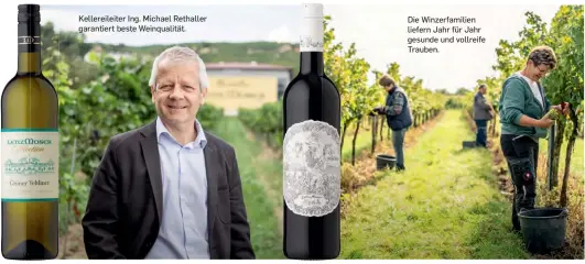  ??  ?? Kellereile­iter Ing. Michael Rethaller garantiert beste Weinqualit­ät.
Die Winzerfami­lien liefern Jahr für Jahr gesunde und vollreife Trauben.