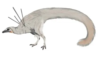  ?? Photograph: Luxquine/Wikimedia Commons ?? An artist’s rendering of Ubirajara jubatus.