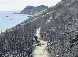  ??  ?? Les travaux de restaurati­on des terrains incendiés du Cap Taillat et du Cap Lardier devraient avoisiner les   euros. (Photo Sophie Louvey)