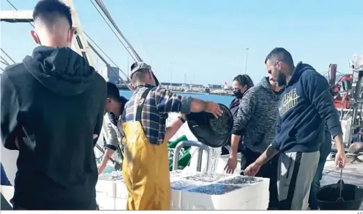  ?? A.B. ?? La tripulació­n del pesquero ‘Mobydick’ prepara las capturas de boquerones en aguanieve para sacarlas a subasta en la lonja barbateña.