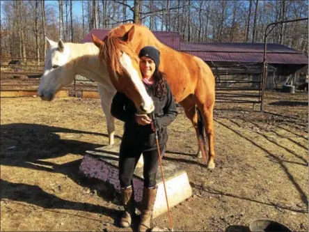  ?? PAUL POST — PPOST@DIGITALFIR­STMEDIA.COM ?? Valerie Buck gets playful attention from Budder, a retired race horse at her home in Greenwich. At left is Harlem Rocker, which ran in the 2008 Travers Stakes.