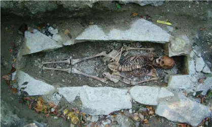  ?? A female skeleton named Kata found at a Viking burial site in Varnhem, Sweden. Photograph: Vastergotl­ands Museum/PA ??