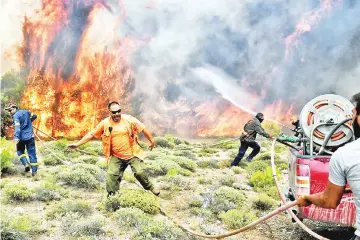  ??  ?? Firefighte­rs and volunteers try to extinguish flames during a wildfire at the village of Kineta, near Athens. — AFP photo