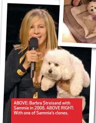  ??  ?? ABOVE: Barbra Streisand with Sammie in 2006. ABOVE RIGHT: With one of Sammie’s clones.