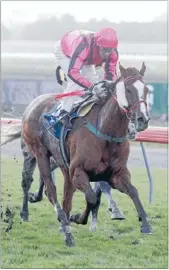  ??  ?? Deserved win: Noel Harris has time to pose for the camera as he brings Art Beat home first ahead of the favourite Innovation in Saturday’s $100,000 Winter Cup at Riccarton.