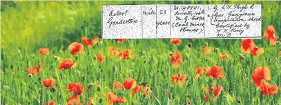  ??  ?? A Black Country field filled with the poppies of Remembranc­e. Inset: Part of Private Gonderton’s death certificat­e