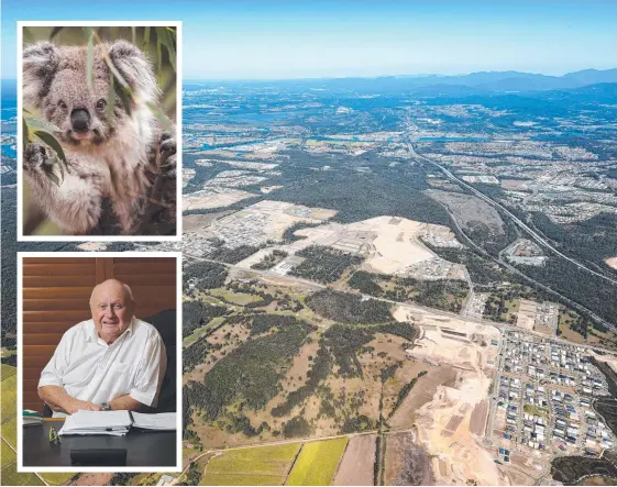  ?? Main picture: SKYEPICSAE­RIALPHOTOG­RAPHY ?? Developmen­t on the Gold Coast and (inset, top) koalas are one of the threatened species and (bottom) Norm Rix.