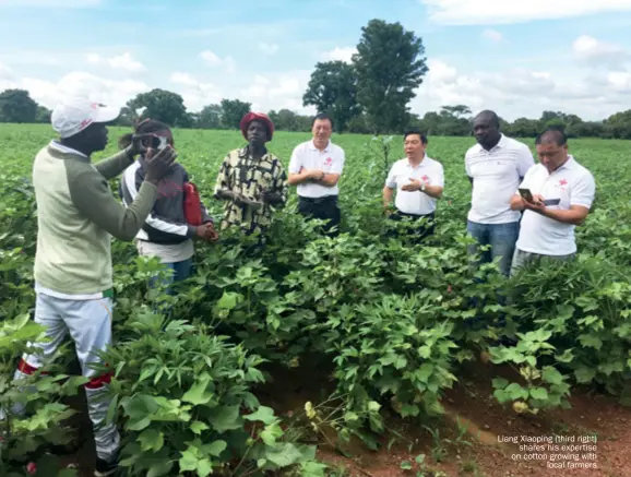  ??  ?? Liang Xiaoping (third right) shares his expertise on cotton growing with local farmers