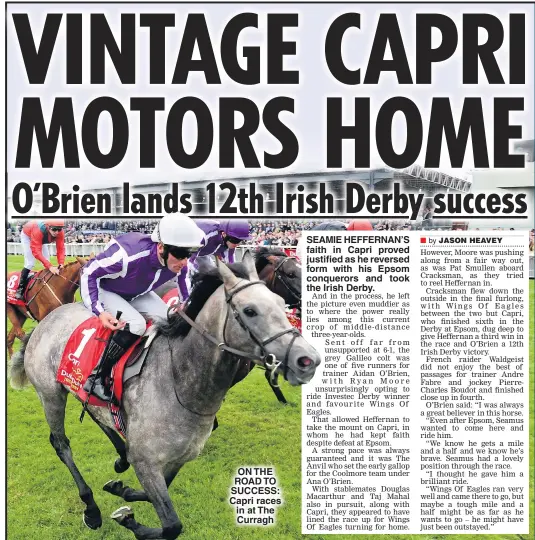  ??  ?? ON THE ROAD TO SUCCESS: Capri races in at The Curragh SEAMIE HEFFERNAN’S faith in Capri proved justified as he reversed form with his Epsom conquerors and took the Irish Derby.