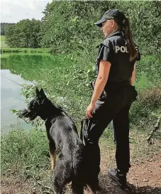  ?? FOTO POLICIE ČR ?? V rybníku Peklo a jeho okolí probíhala rozsáhlá pátrací akce, do níž se zapojili policejní kynologové a potápěči