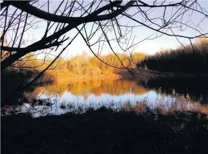  ??  ?? Reflection­s at the Wetlands, Llanelli