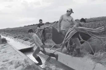  ??  ?? Chris Tomky and his children set irrigation pipe in Rocky Ford.