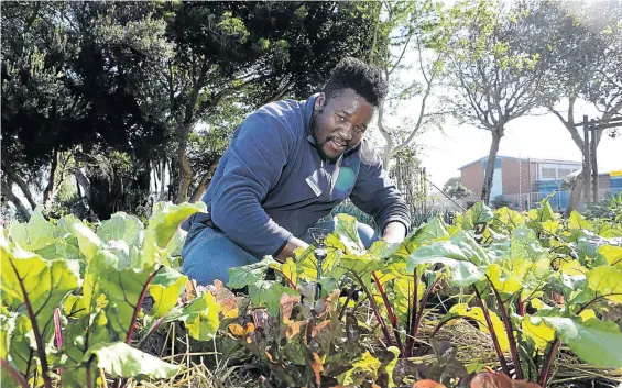  ?? / RUVAN BOSHOFF ?? Nkosi Nqazeleni is the gardener at Lilyhaven Place in Bonteheuwe­l on the Cape Flats. The old-age home uses grey water for its vegetable and herb garden.