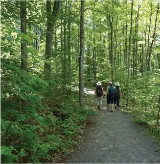  ??  ?? Above:
Hikers enjoy the leafy canopy and well-maintained trails of the Morris Island Conservati­on Area
Left: A trailhead for the Ferguson Forest Centre leads visitors to areas for hiking, paddling, fishing and other activities