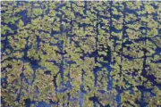  ?? AP PHOTO/PATRICK SEMANSKY ?? Louisiana wetlands are seen from a helicopter in 2010.