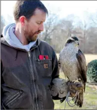  ??  ?? Heath Garner took his goshawk, Gretel, from a nest in Montana when the raptor was a week old.