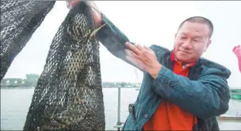  ?? PROVIDED TO CHINA DAILY ?? A fisherman with a net of hairy crabs at Yangcheng Lake, Suzhou, East China’s Jiangsu proivince.