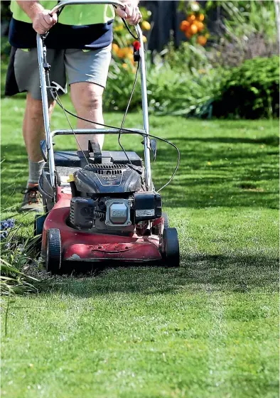  ?? SCOTT HAMMOND/ STUFF, JANE USSHER ?? Tending to your lawn is an obvious task for Labour Weekend. Inset: If you’re looking for a DIY project that your family will get use out of for years to come, build a pizza oven.