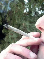  ??  ?? Sostanza legale La docente fermata dai vigili di Thiene stava fumando della cannabis venduta legalmente, perché con basso valore di principio attivo (foto archivio)