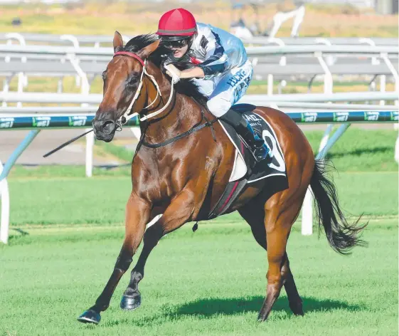  ?? Picture: TRACKSIDE PHOTOGRAPH­Y ?? A potential massive payday at the Magic Millions has All Over Bosanova’s connection­s dancing for joy.