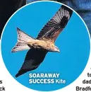  ??  ?? SOARAWAY SUCCESS Kite