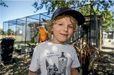  ?? PHOTO: DAVID UNWIN/STUFF ?? Noah Rive, 9, befriends sun conure parrot Nelly at the new parrot park at the Tweeters and Friends pet store.