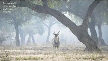  ??  ?? Een natuurlijk kader zal het onderwerp versterken.