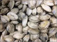  ?? PATRICK WHITTLE — THE ASSOCIATED PRESS FILE ?? In this file photo, local softshell clams are displayed at a Portland, Maine, fish market. Maine’s clam harvest in 2017 reached its lowest point since at least 1950.