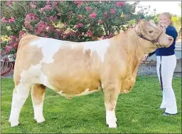  ?? Courtesy photo ?? Sutter FFA member Jaycee Ford with her Supreme Champion/ffa Champion steer, which was purchased by Siller Ponderosa Angus for $5,000.