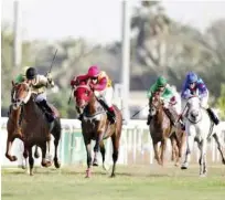  ??  ?? A high quality 2400m handicap, which features Dubai World Cup Carnival aspirants, headlines the six-race card meeting in Abu Dhabi.