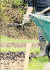  ??  ?? Properly putting your garden to bed in the autumn should help
make things easier come spring.