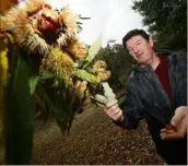  ?? (Photo Laurent Martinat) ?? Laurent Jartoux, inquiet pour sa production après l’annulation des fêtes de la châtaigne.