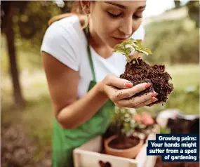  ?? Of gardening ?? Growing pains: Your hands might suffer from a spell
