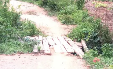  ?? Photo Taiwo Adeniyi ?? A wooden bridge in the community