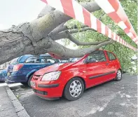  ??  ?? A tree toppled on to this car in Aberdeen overnight