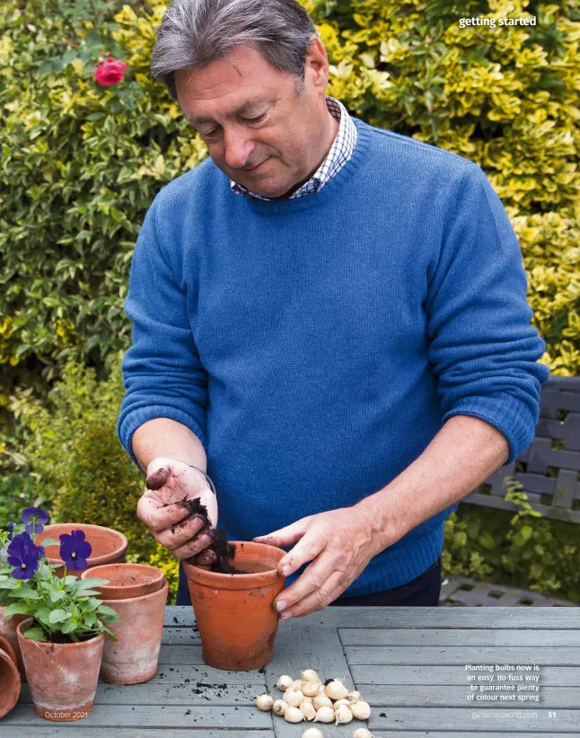  ?? ?? Planting bulbs now is an easy, no-fuss way to guarantee plenty of colour next spring