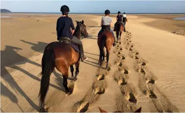  ?? ABEL TASMAN HORSE TREKS ?? Horse riding on the beach in Ma¯ra¯hau.