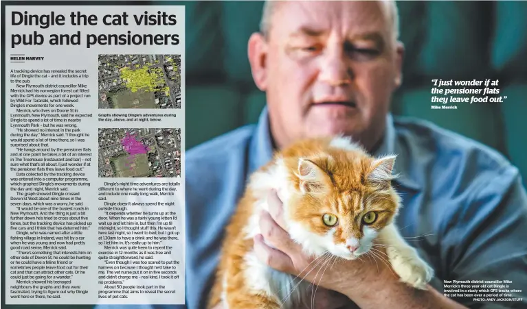  ?? PHOTO: ANDY JACKSON/STUFF ?? New Plymouth district councillor Mike Merrick’s three year old cat Dingle is involved in a study which GPS tracks where the cat has been over a period of time.