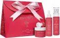  ??  ?? Targeted solutions: Root + fruit gift set, £90, wildscienc­elab.com