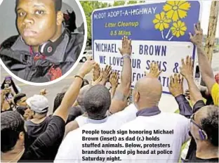  ??  ?? People touch sign honoring Michael Brown (inset) as dad (r.) holds stuffed animals. Below, protesters brandish roasted pig head at police Saturday night.