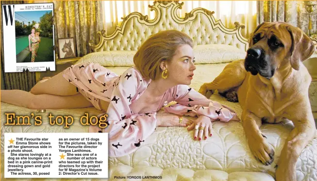  ??  ?? THE Favourite star Emma Stone shows off her glamorous side in a photo shoot.She stares lovingly at a dog as she lounges on a bed in a pink canine-print dressing gown and gold jewellery.The actress, 30, posed as an owner of 15 dogs for the pictures, taken by The Favourite director Yorgos Lanthimos. She was one of a number of actors who teamed up with their directors for the project for W Magazine’s Volume 2: Director’s Cut issue.