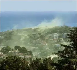  ?? (Photo doc. Nice-Matin) ?? De véritables nuages de pollen s’abattent cette année sur les zones littorales peuplées de pins et de cyprès.