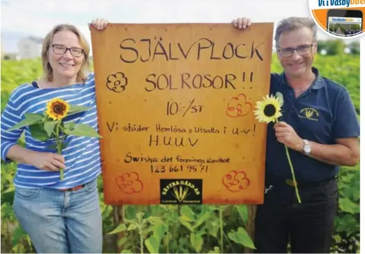  ?? FOTO: PRIVAT ?? STÖTTAR. Mia Eriksson och Mats Eriksson på Sättra gård skänker behållning­en från självplock av solrosor till arbetet för Väsbys utsatta och hemlösa.