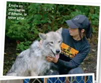  ??  ?? Émilie en compagnie d’Athena, la louve grise.