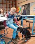  ??  ?? Dieser Bub streichelt Lino gerade. Das scheint Hund und Kind zu gefallen. „Mit Lino fällt uns das Lernen gleich viel leichter“, sagen die Kinder.