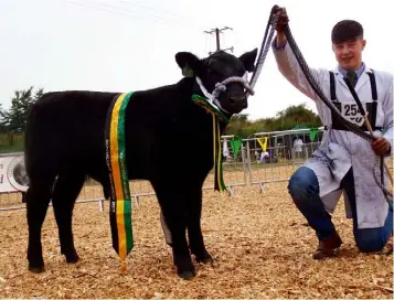  ??  ?? Millbawn Prizeman, the Connaught Provincial Trophy winner at Mohill Show over the weekend with Conor Craig from Coolarty, Edgeworths­town, Co Longford.