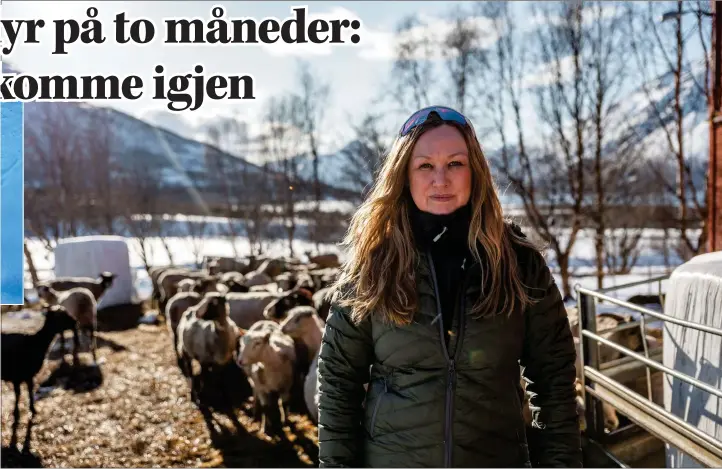  ?? FOTO: ARE BERGSET ELVESTAD ?? Sauebonde Guro Boltås har mistet syv dyr til gaupa bare siden nyttår. Likevel lar myndighete­ne kattedyret herje fritt i Rotsund.